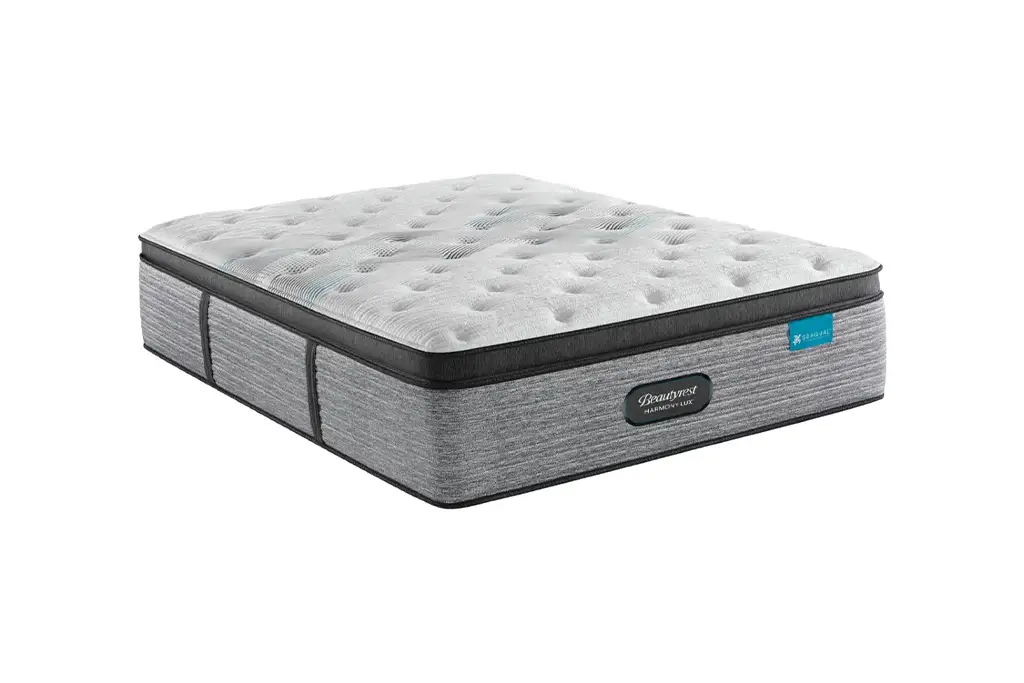 Best beautyrest mattress for back deals pain